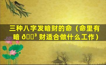 三种八字发暗财的命（命里有暗 🐳 财适合做什么工作）